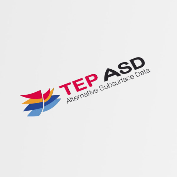 Création identité visuelle logo TEP ASD