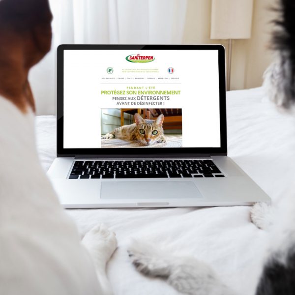 Saniterpen-webmarketing-newsletter