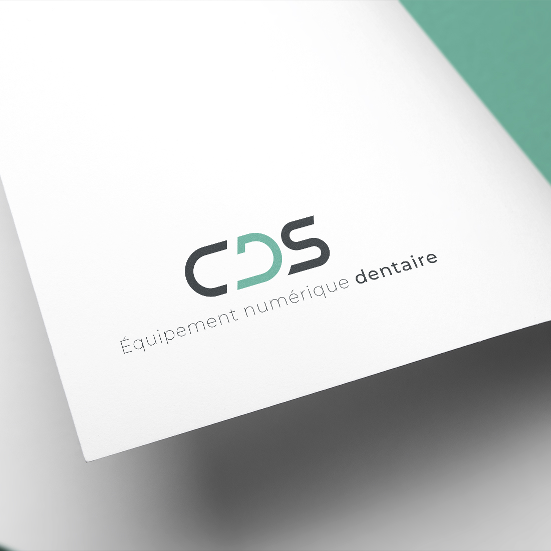 CDS_logo_rea_02b